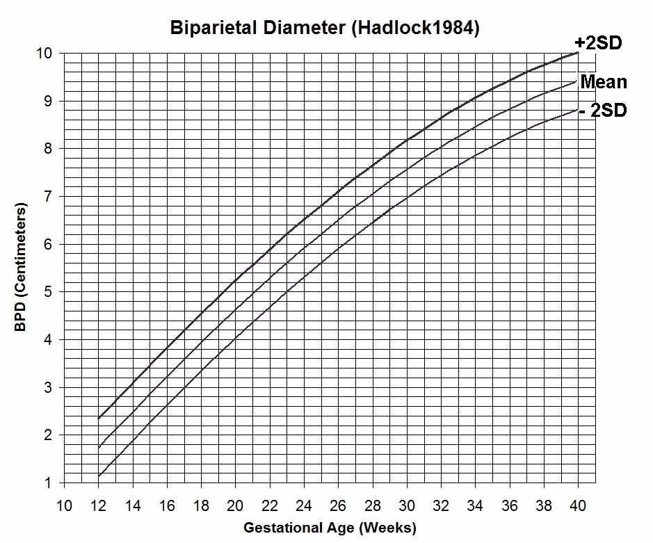 Fetal Growth Chart By Week