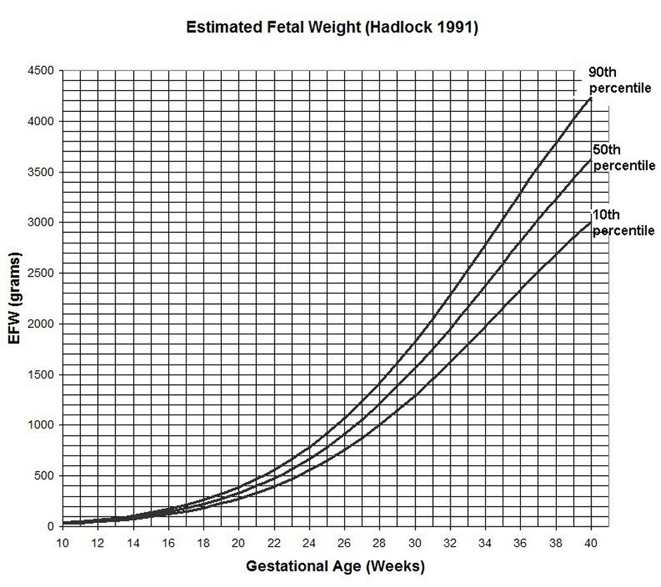 Mother Weight Chart During Pregnancy