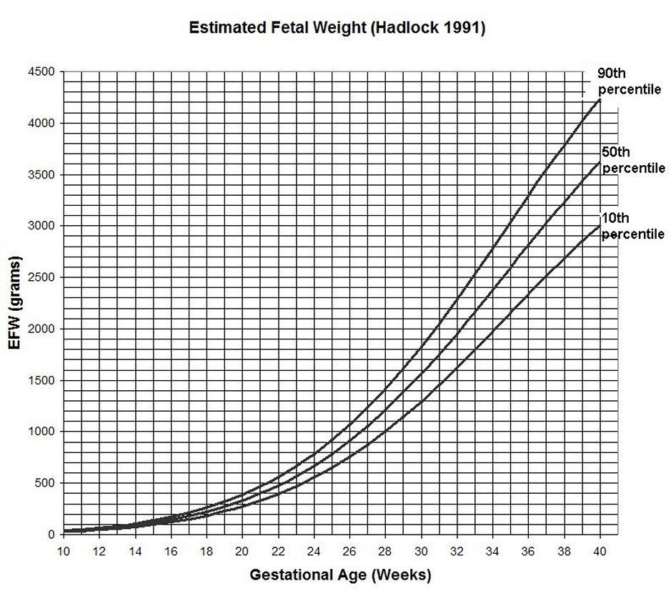 Fetal growth percentile