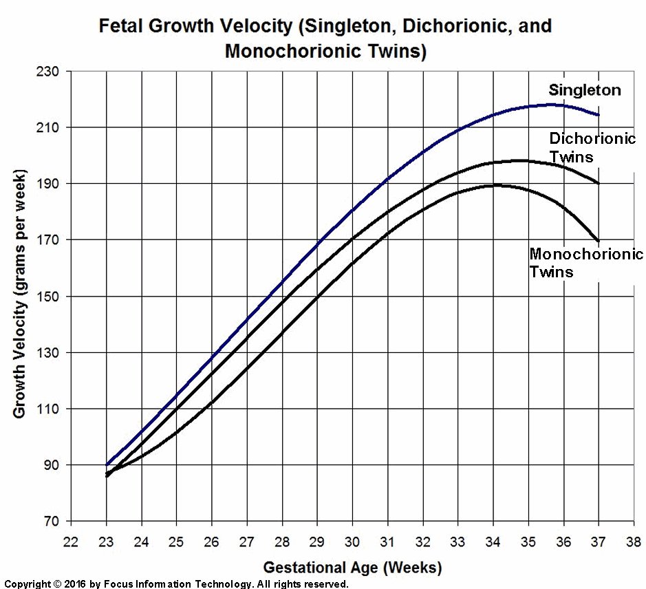 Baby Fetal Development Chart