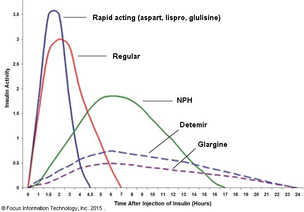 Novolog vs regular insulin