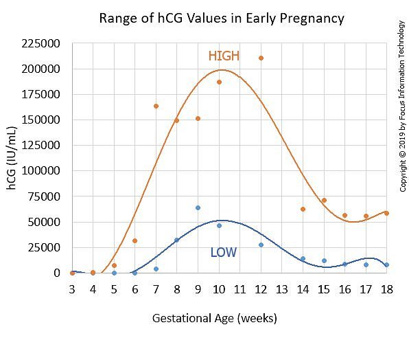 Miscarriage Statistics By Week Chart