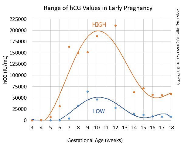 Quant Count Pregnancy Chart